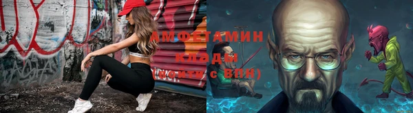 гидра Алексеевка