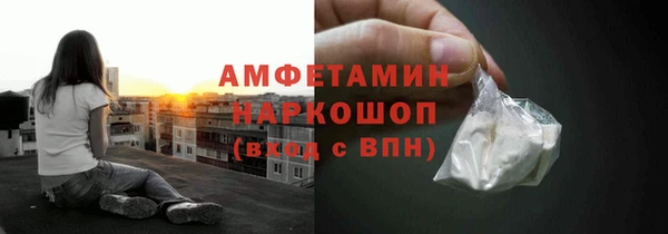 гидра Алексеевка