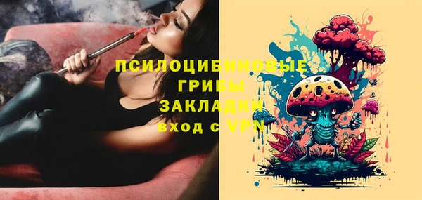 скорость Алексин
