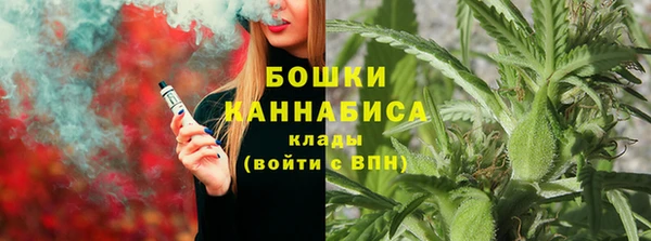 гидра Алексеевка