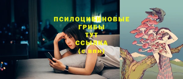 скорость Алексин